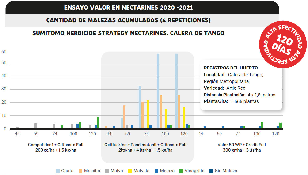 Ensayo Valor en Nectarines 2020-2021