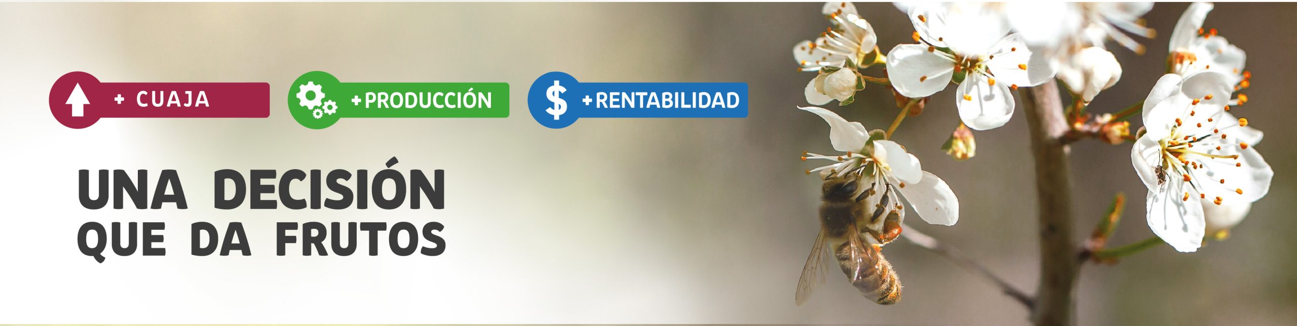 ReTain® uso en Cerezos