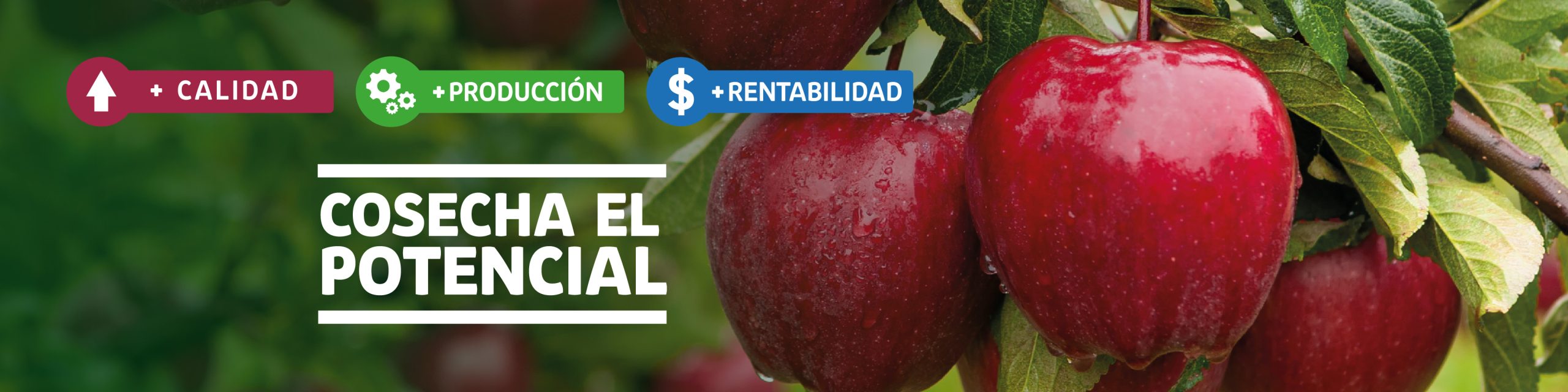 ReTain® uso en Manzano