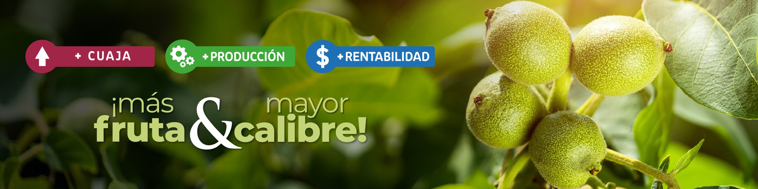 ReTain® uso en Nogales: