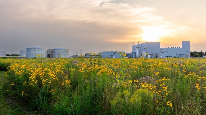 Centro Global de Excelencia de Sumitomo Biorational Company en innovación biorracional